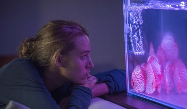 ���� ���� ����