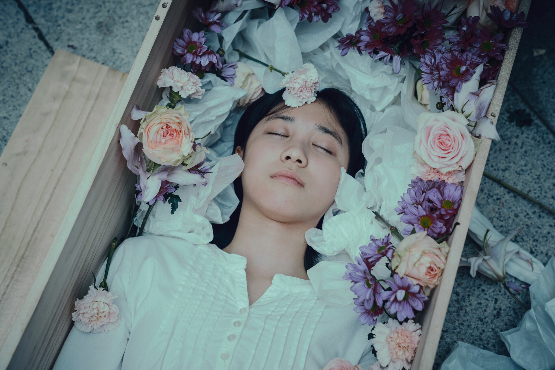 ������. ̸����� ������