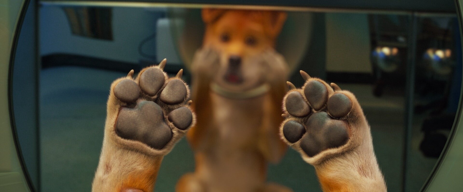 ϸ� �� ��������