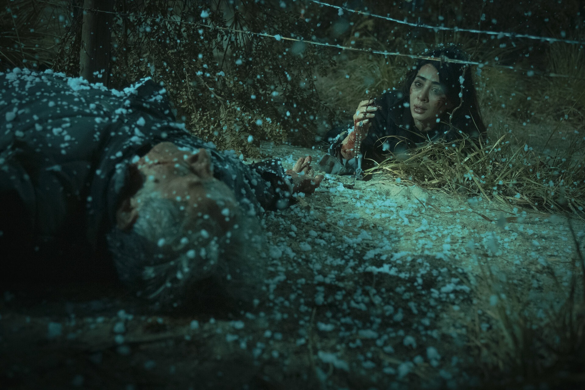 ��������. �������� ������