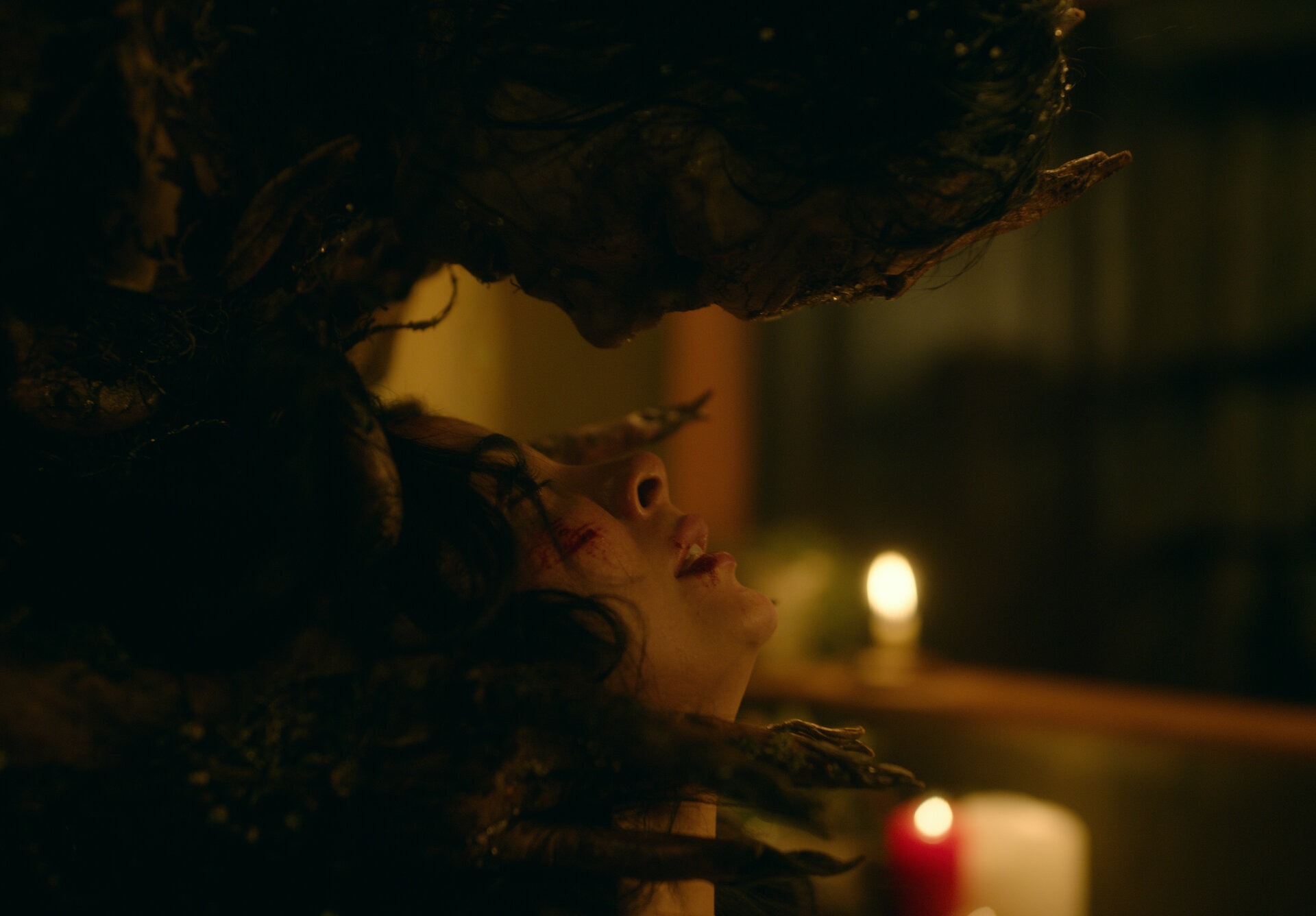 ��������. �������� ������