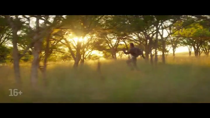 ������ �����������: ��������� ��������