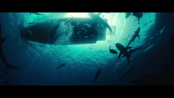 ������ �����