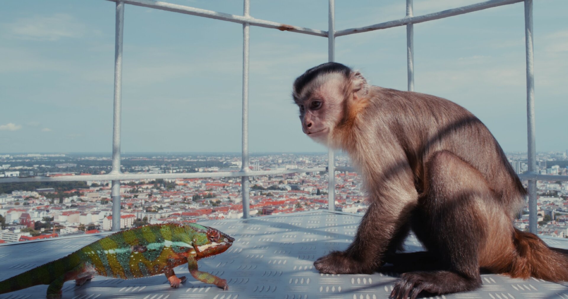 ����� �� ��������