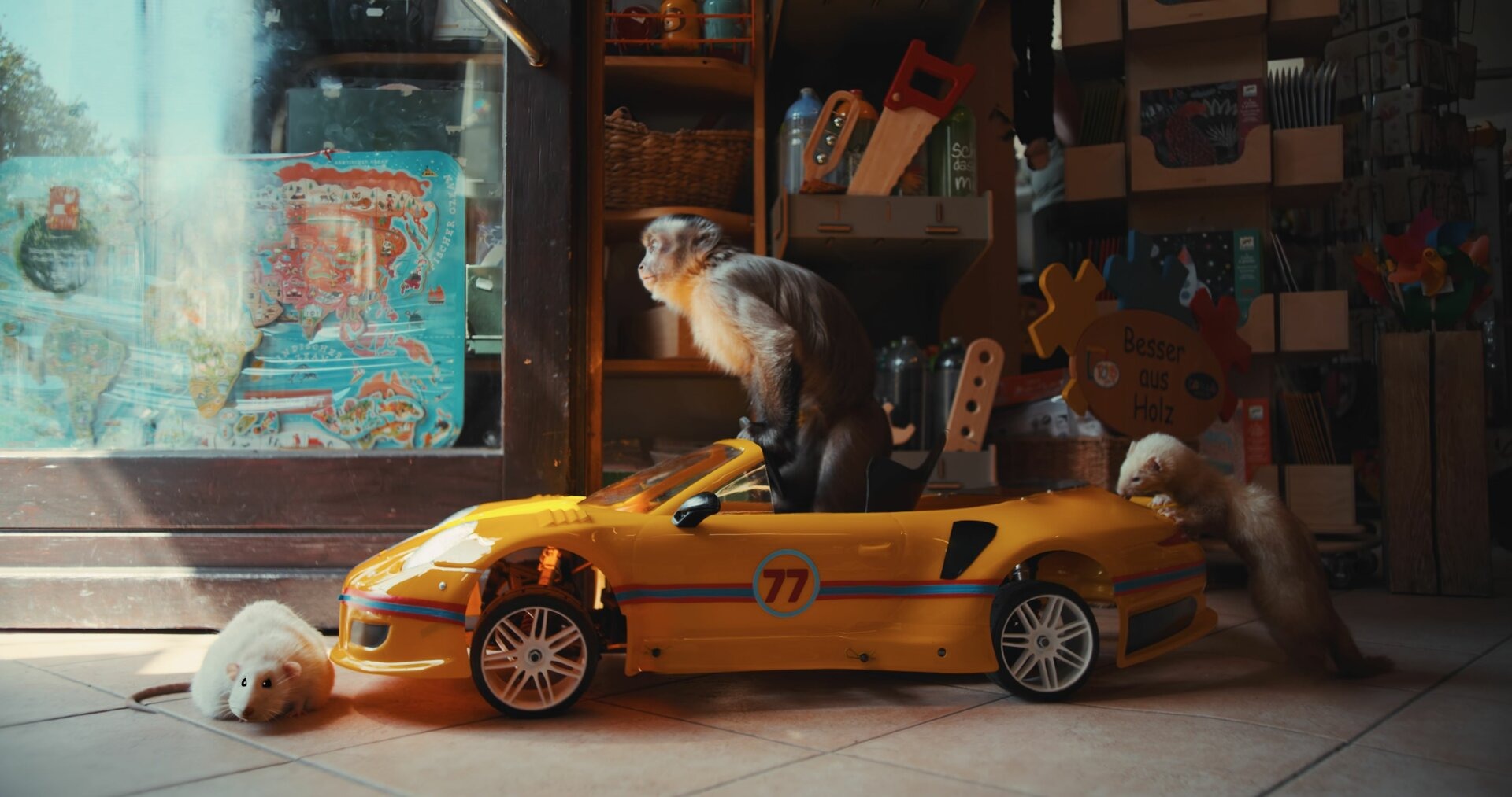 ����� �� ��������