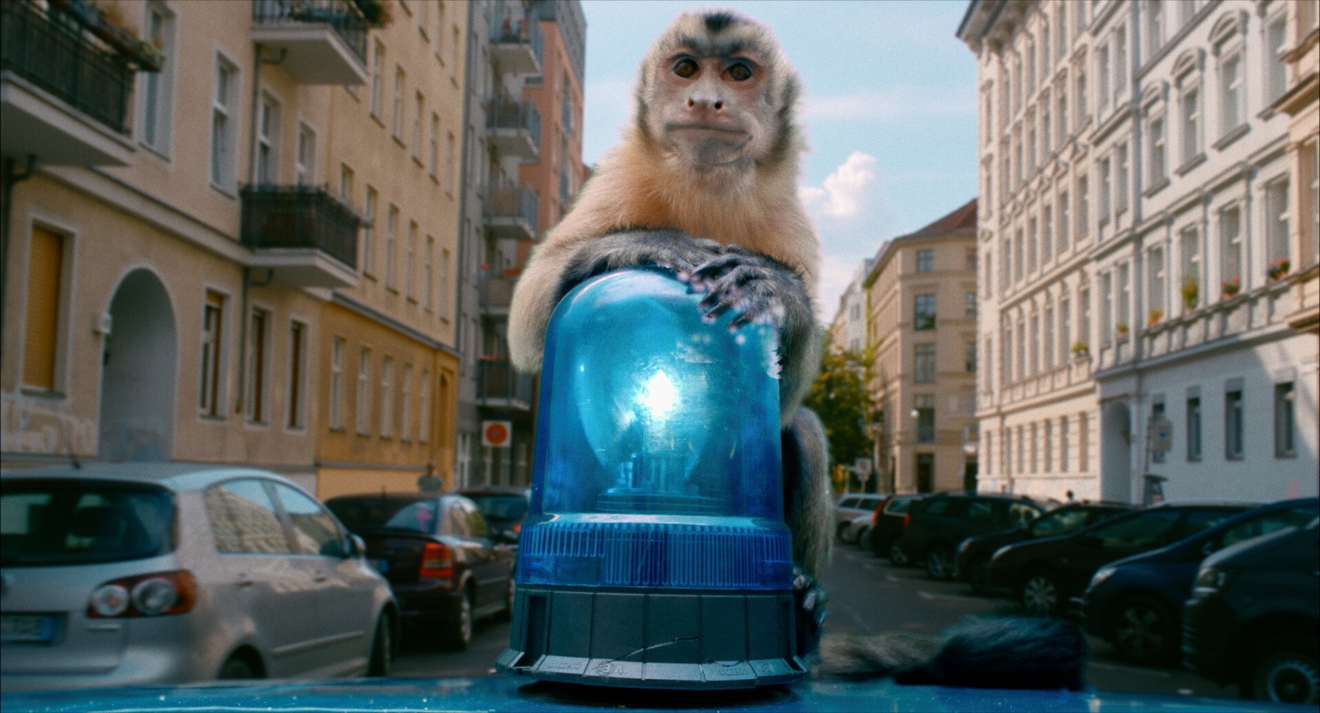 ����� �� ��������