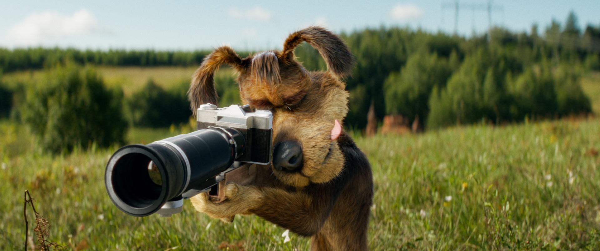 �������������