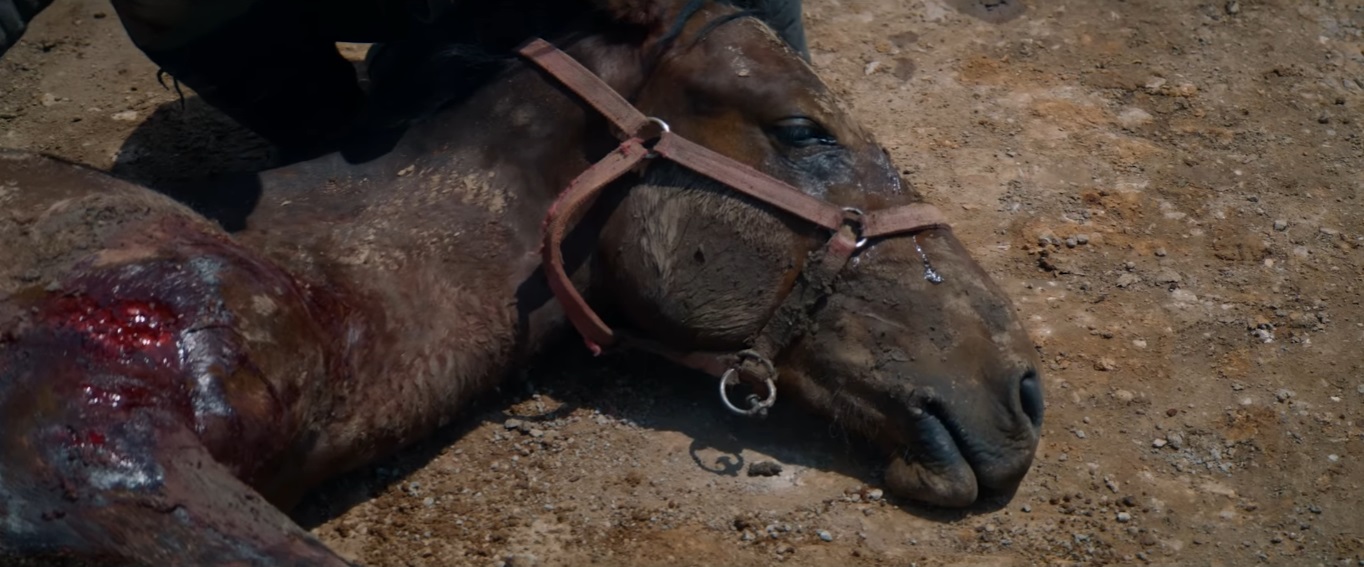 ��ңғ� ���