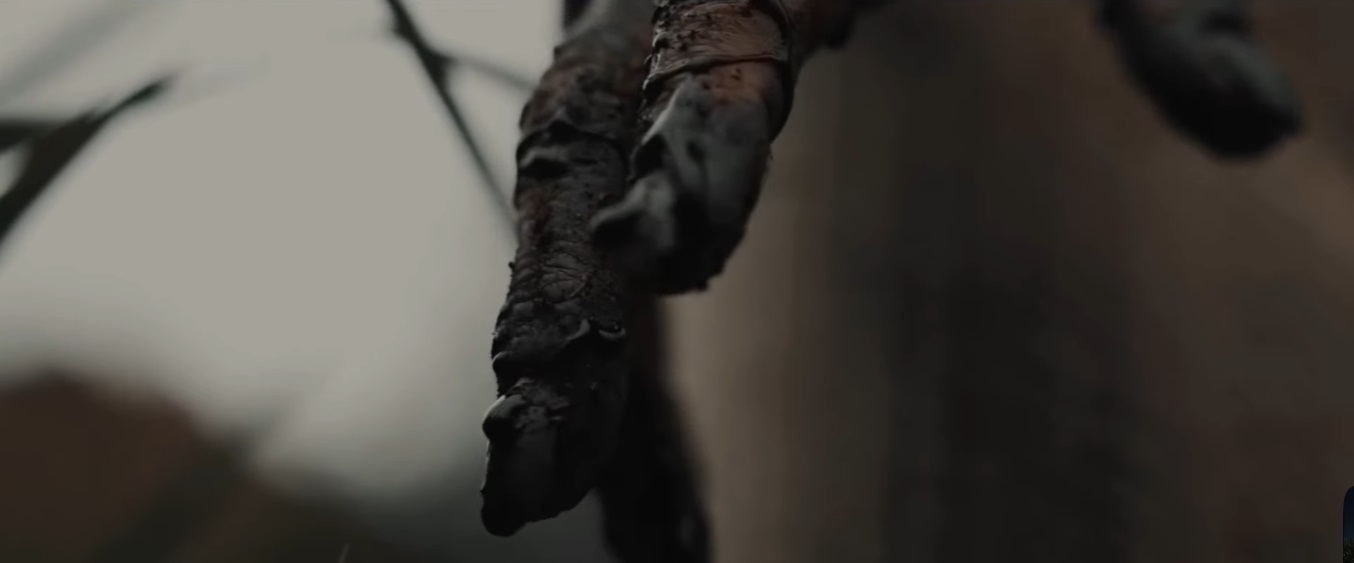 �������� �����