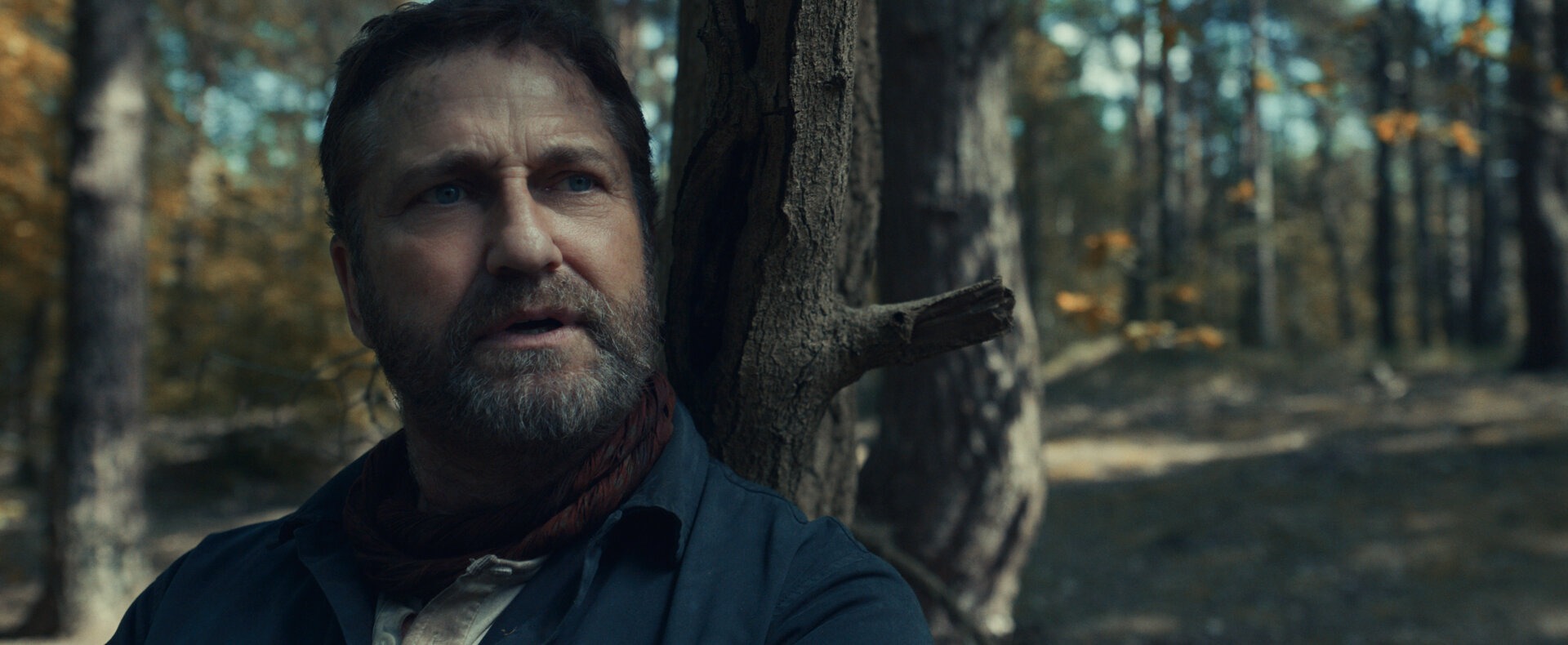 ���������� 2: ��������