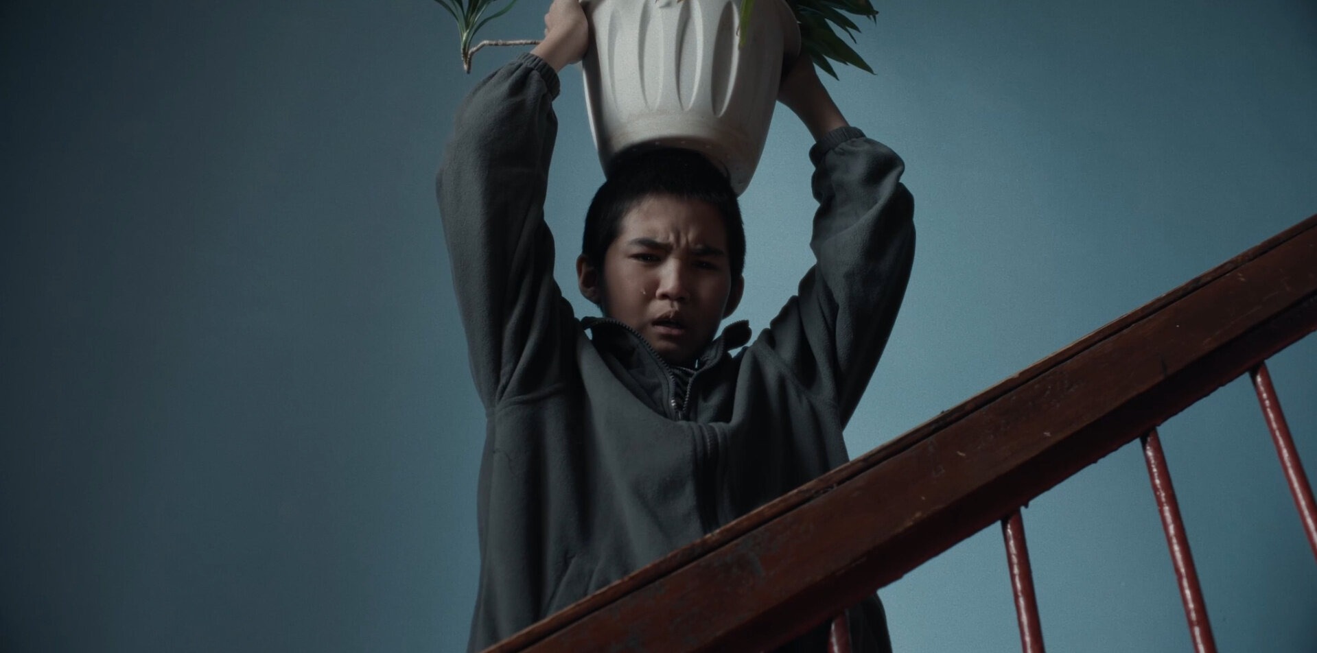 ���������, ���!