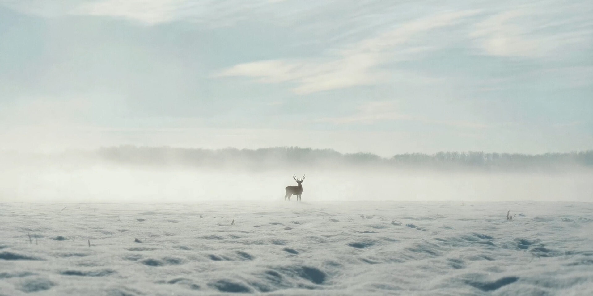 ���������, ���!