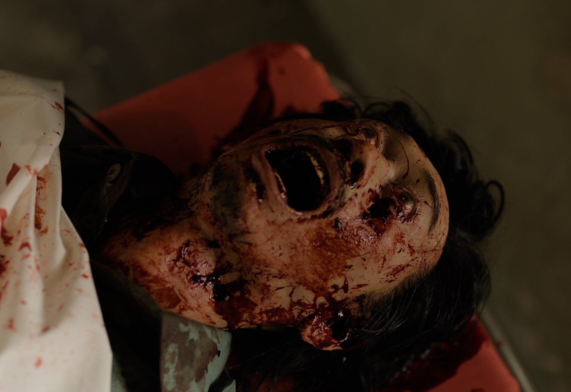 ������. ���������� ���