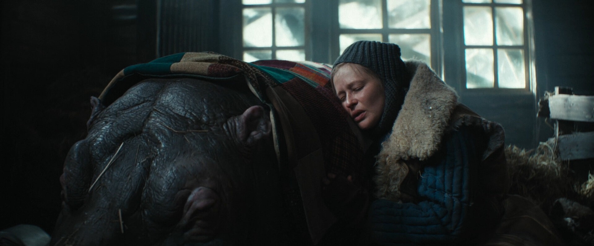 ���������