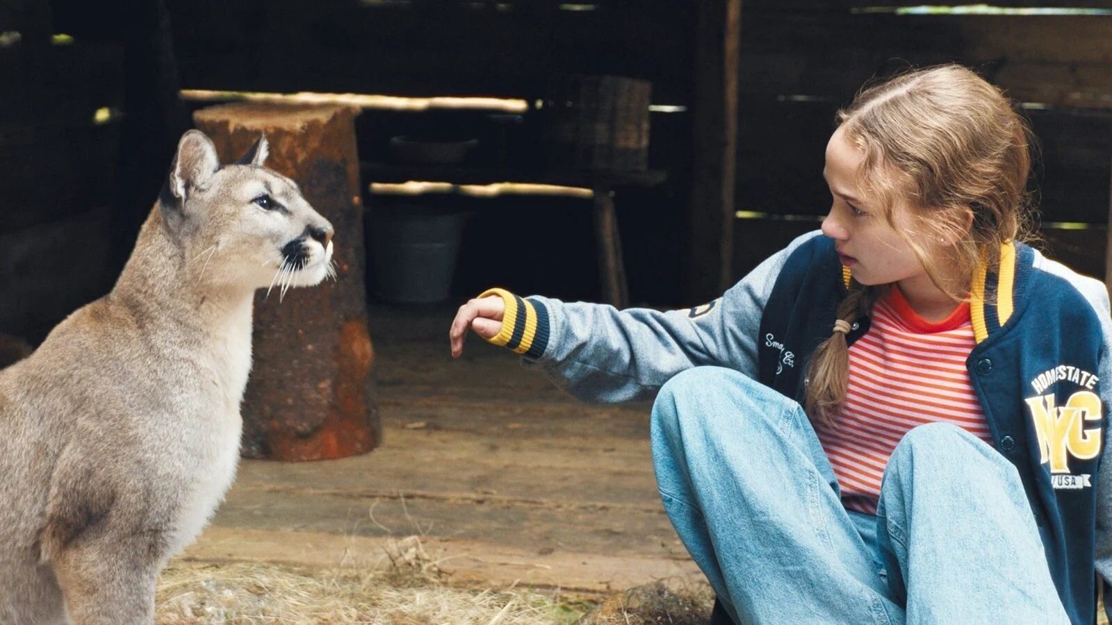 ���� ���� 2