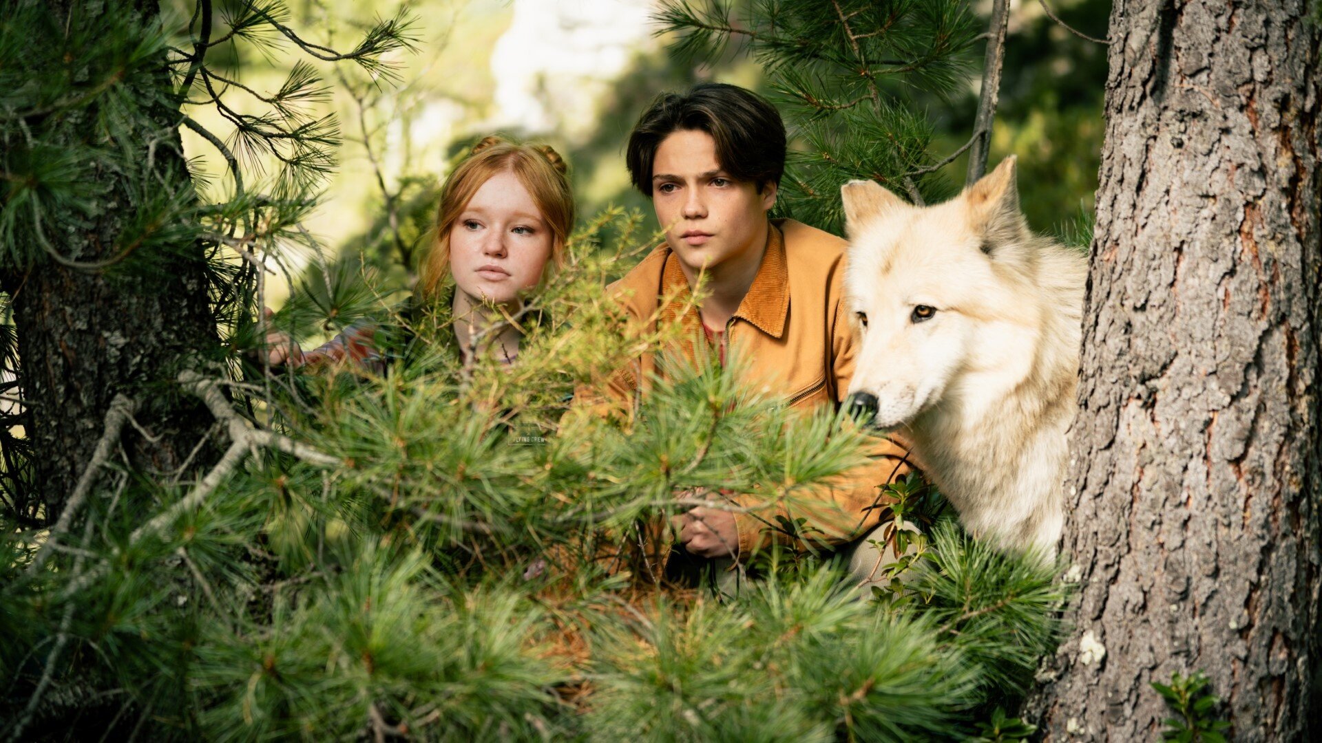 ���� ���� 2