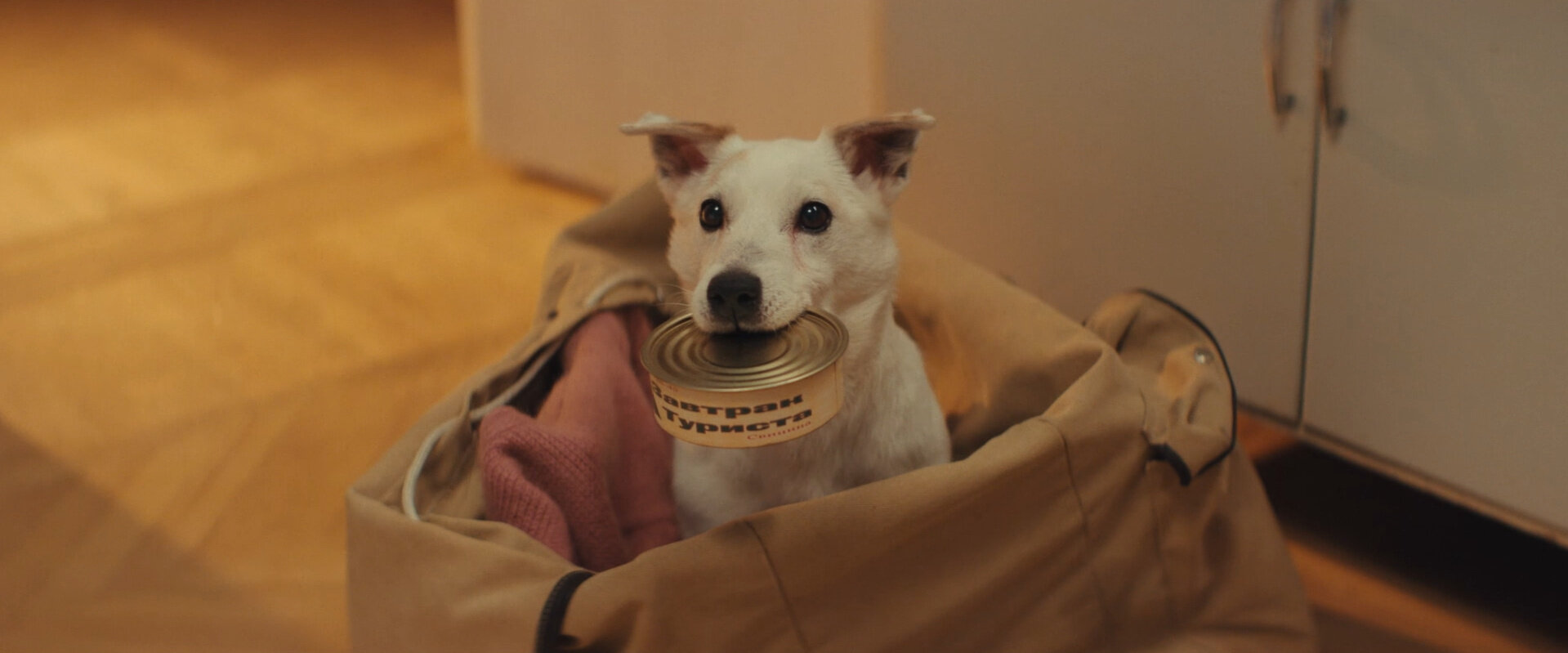 ��� ������ � ���������