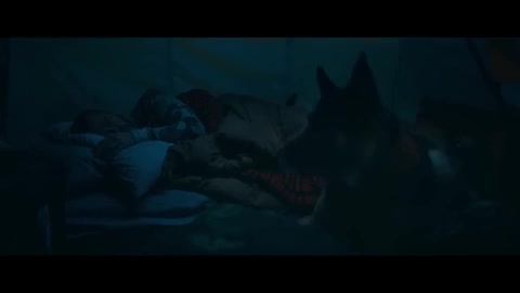 download video