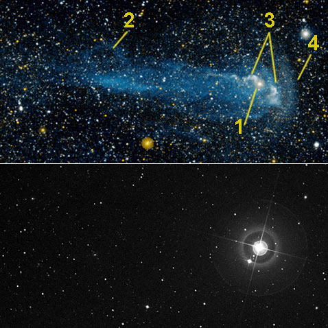 ��� ���������: ���� � � ����������� � ������������� (������) � � ���������� ��������� (�����). 1 � ��� ���� ����; 2 � �����, �������������� � �������������� ������; 3 � ��� ������ ����, ��������� �� ������; �� ��������� ��� ����� ������� ��������, �� ��� ��������� �������������, ��� ��� ��������� � �������; 4 � ������� �����, ����������� �� ������ ������������ ���� ������� ���� ������ � ����������� �������� (���� NASA/JPL-Caltech/POSS-II/DSS).