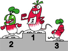 ������� � �������� Jardiland ������������ ��� ���������� ������ (����������� � ����� jardiland.org).