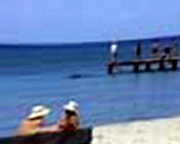 �������� ��������� � ���� ��� ����� ���������