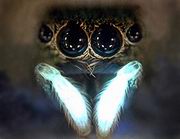 ��������� ���� ������� ���� �� ������ ����