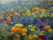 ��-�� ������� ���� � ��������� ��������� �������� ������ �� �����