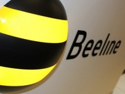 : Beeline      302  