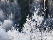 ����� ������ ����� ����������� �� ���� �������������