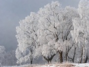 ��������� ���� ������ � ������������ ������� 17 �������