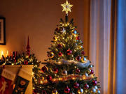 ����������� ���������� �������� ����� � ������ ����