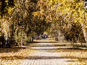 30 ������� � ������������ ������� ����� �����