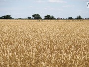 � ������������ ������� ������� ��������� ������