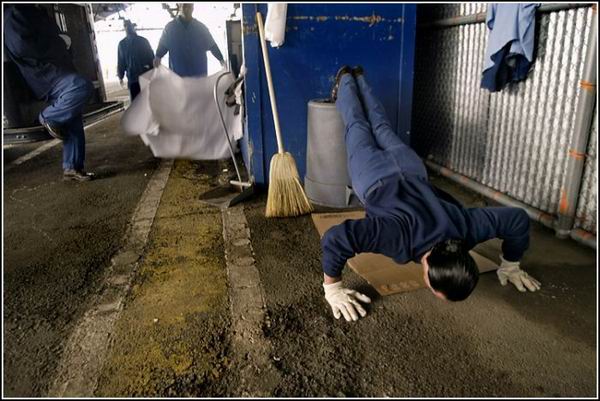 ����� ������������ �����