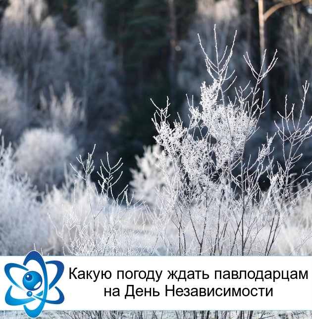 ����� ������ ����� ����������� �� ���� �������������