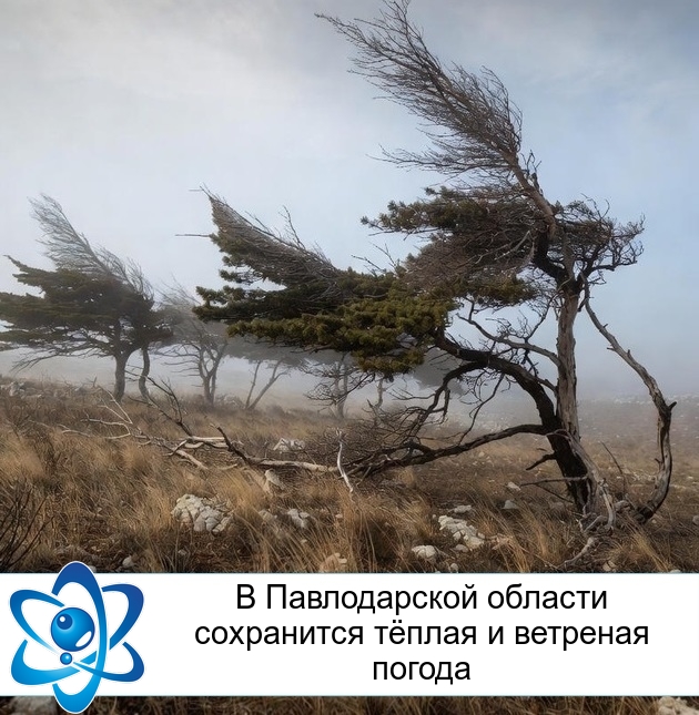 В Павлодарской области сохранится тёплая и ветреная погода