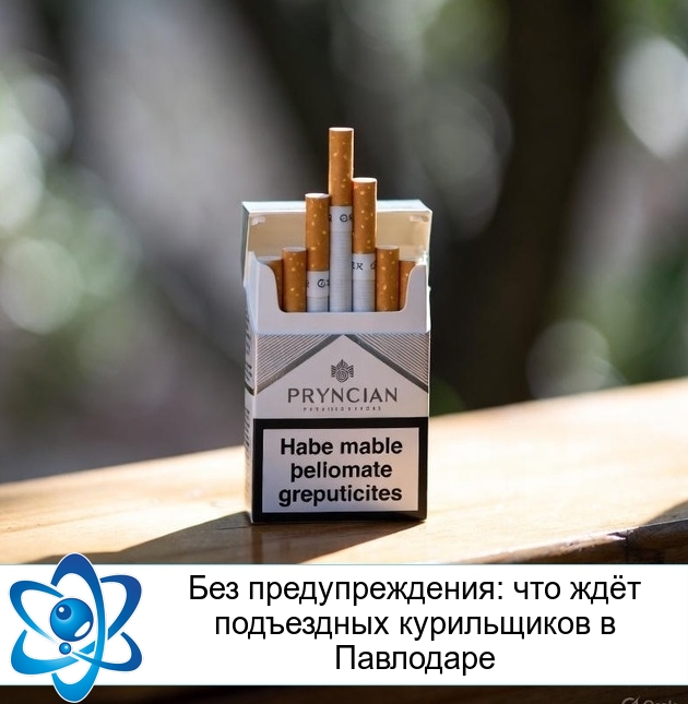 ��� ��������������: ��� ��� ���������� ����������� � ���������