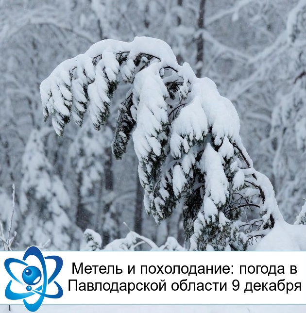 ������ � �����������: ������ � ������������ ������� 9 �������