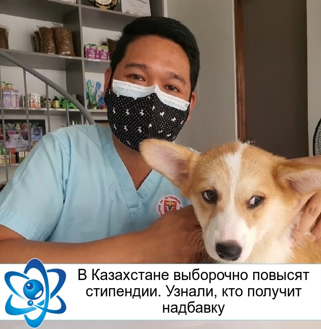 � ���������� ��������� ������� ���������. ������, ��� ������� ��������