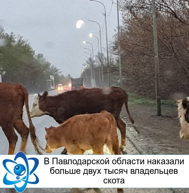 � ������������ ������� �������� ������ ���� ����� ���������� �����