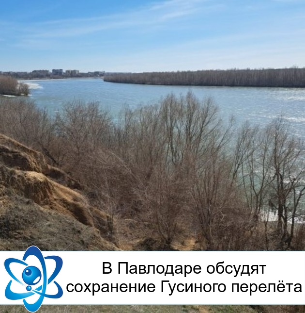 � ��������� ������� ���������� �������� �������