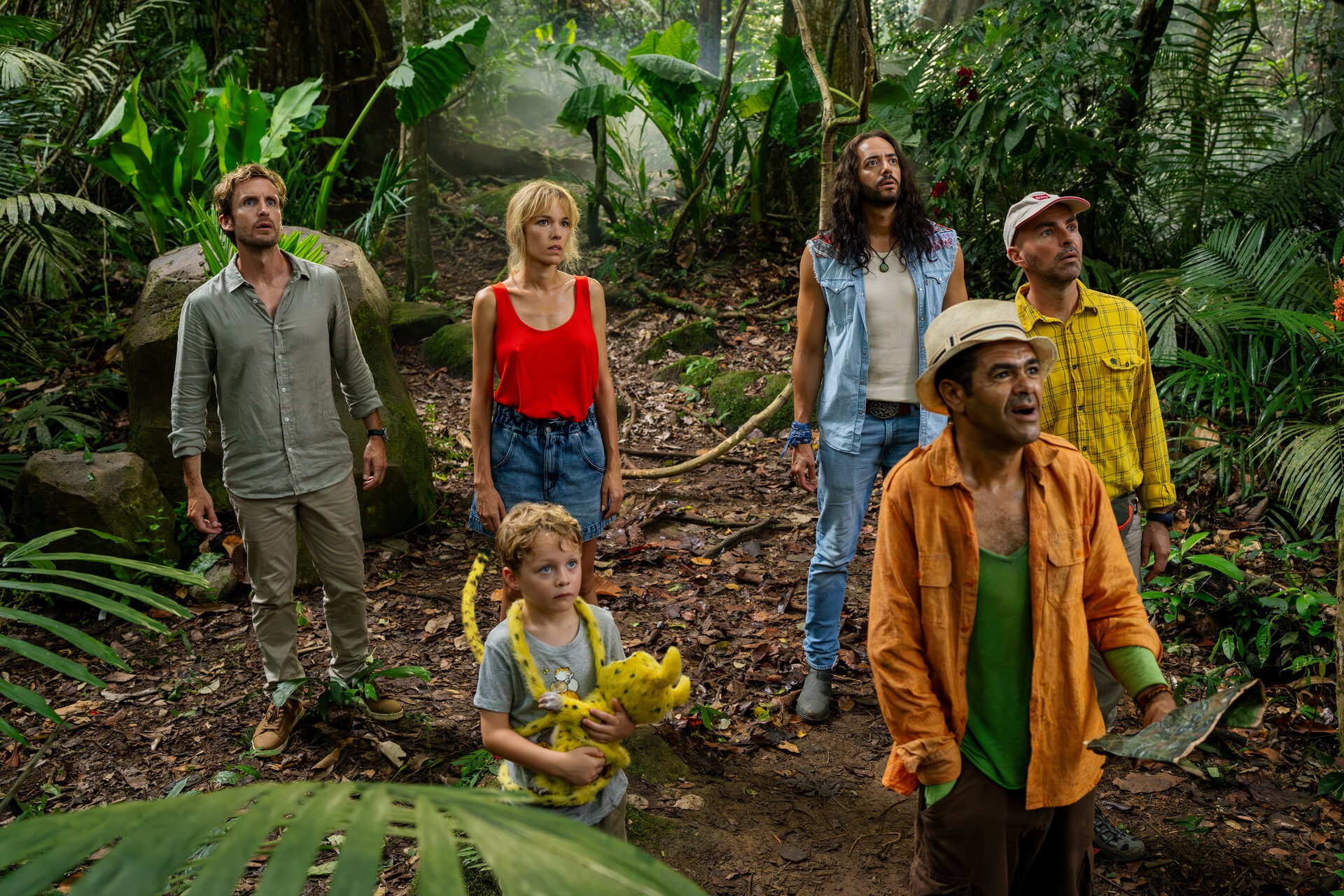 �����������. �������� �����