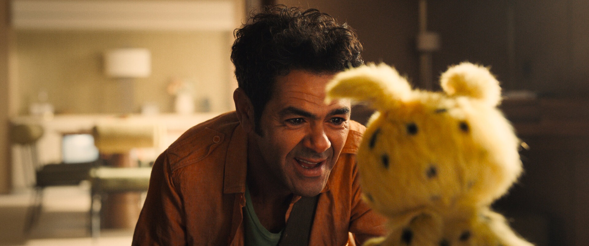 �����������. �������� �����