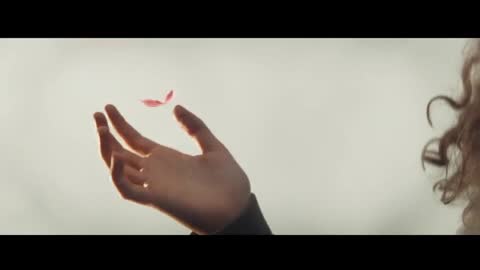 download video