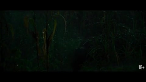 download video