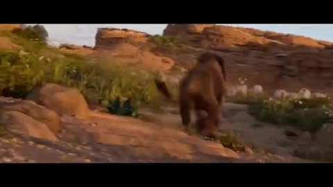 download video