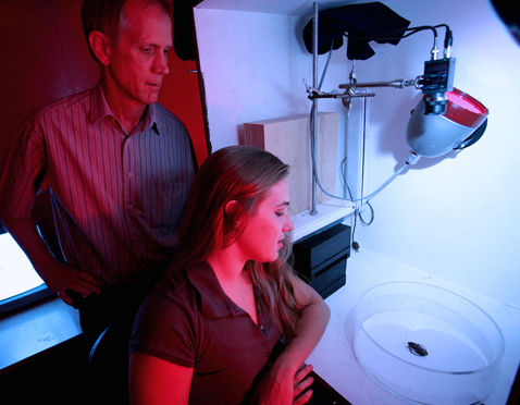 ����� ����� � ��� ��������� ������ ���������� �������� ���������� ���������� ����������� �������� (���� Daniel Dubois).