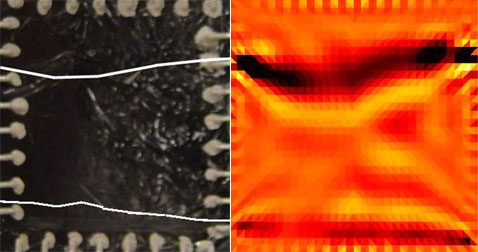 ������� ��� ������ ��������� (�����): ����� ������, ������, ���������� �������������� ������ � ����������� �������� �� �������; � ��� �������� "�����" ������������������ (������) (���� University of Michigan).