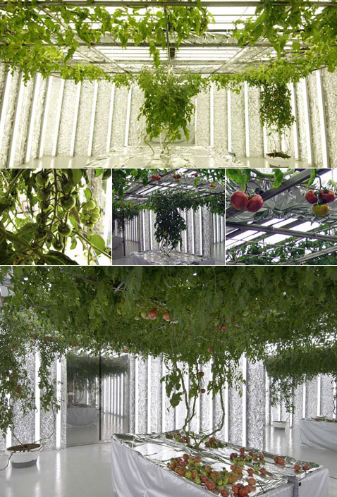 ������� 4 (���������� � ������ marukuwato.multiply.com � pasona.co.jp).