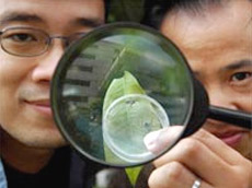 ��� � �� (���������, ������, � ���� ������������ ��� ��������� ����������) �������� �����-�� ��������� ����������� ������� � � ��������� � ������������� (���� Joyce Fang).